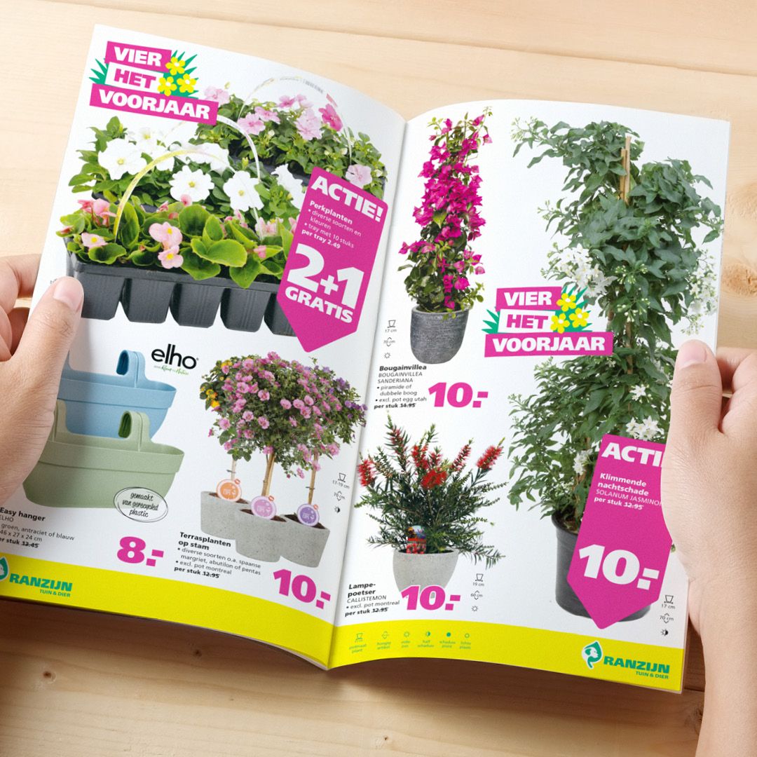 Vier het voorjaar deals in Ranzijn folder