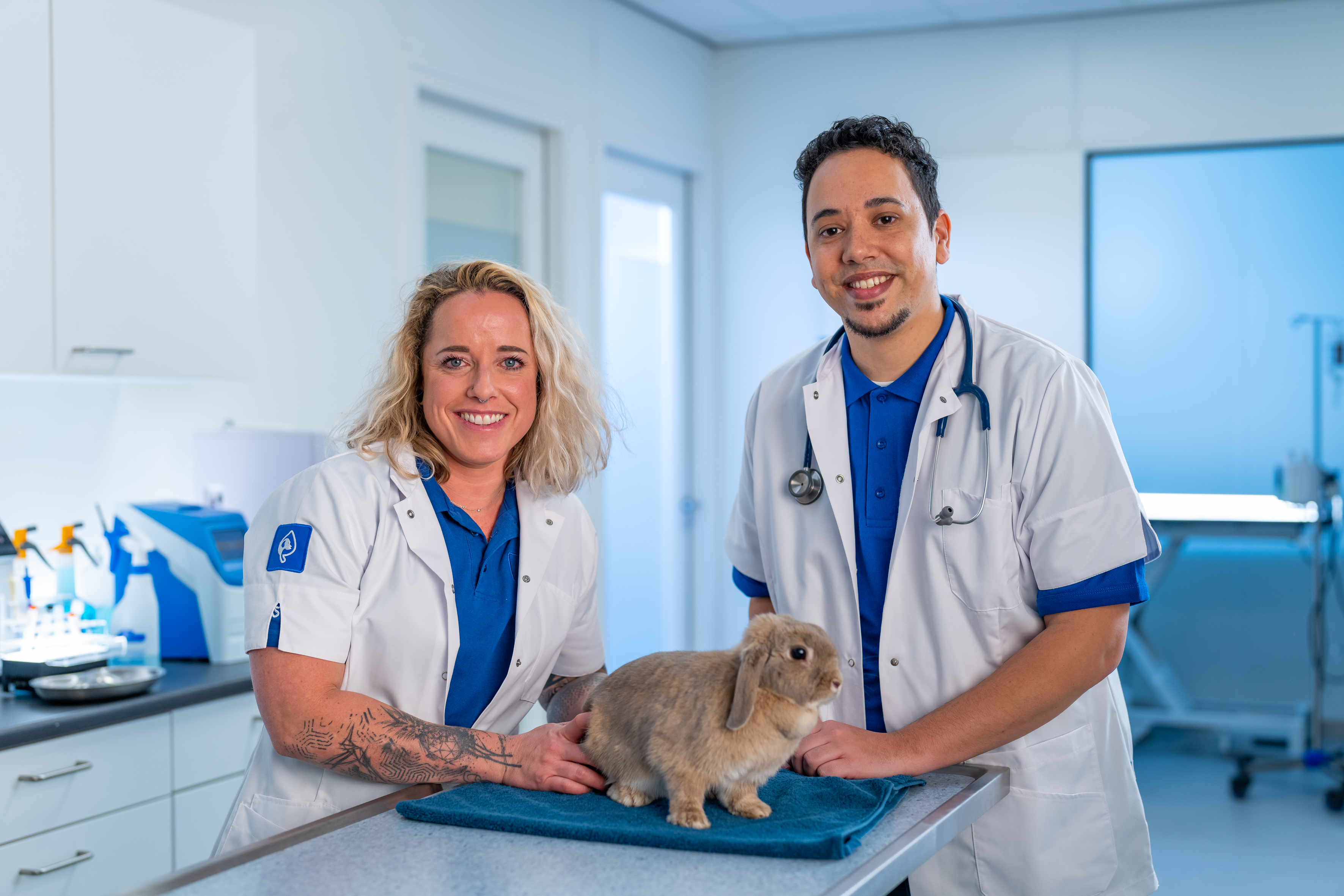 Twee dierenartsen checken konijn in kliniek
