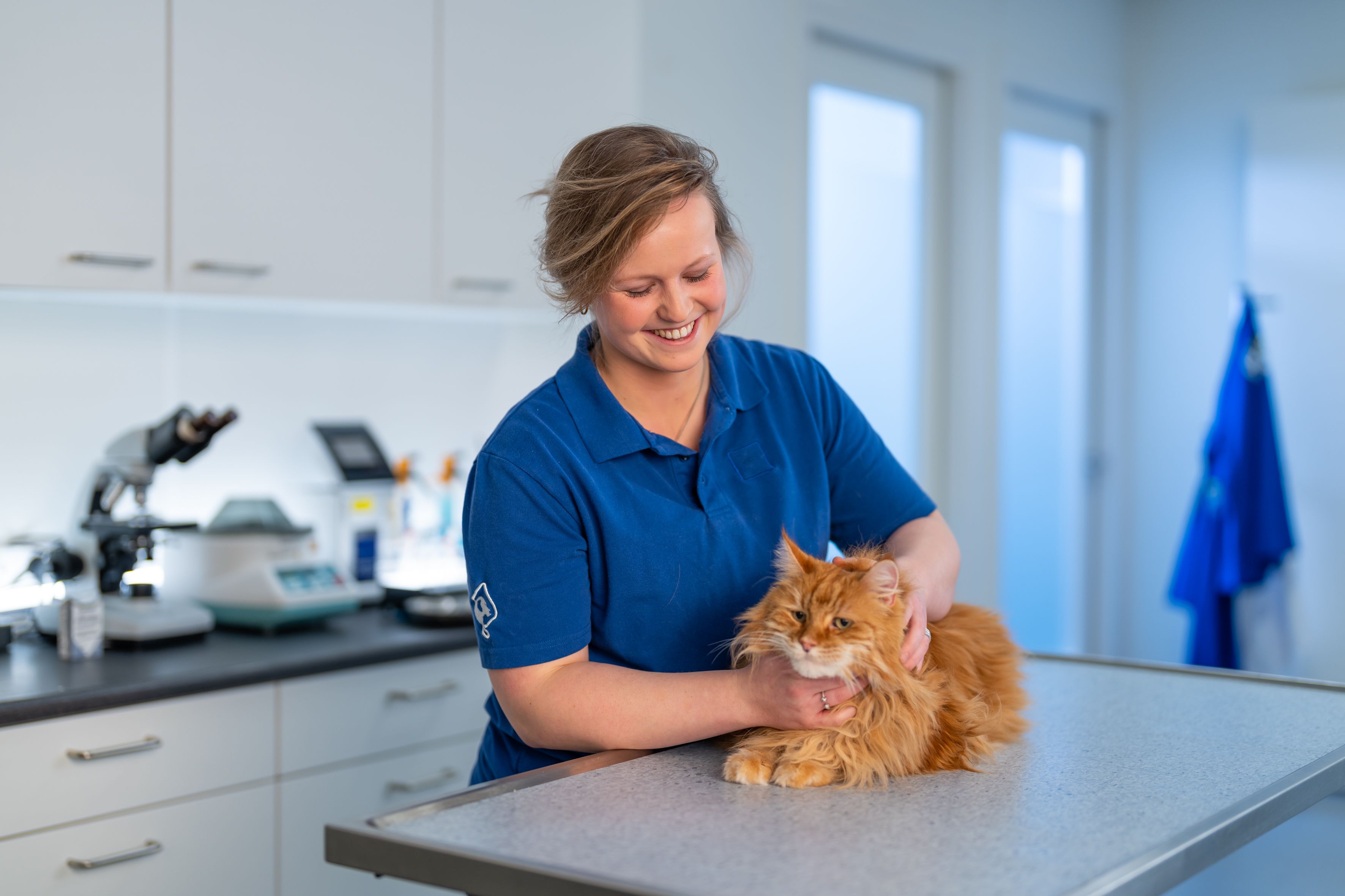 Langharige kat bij de dierenarts