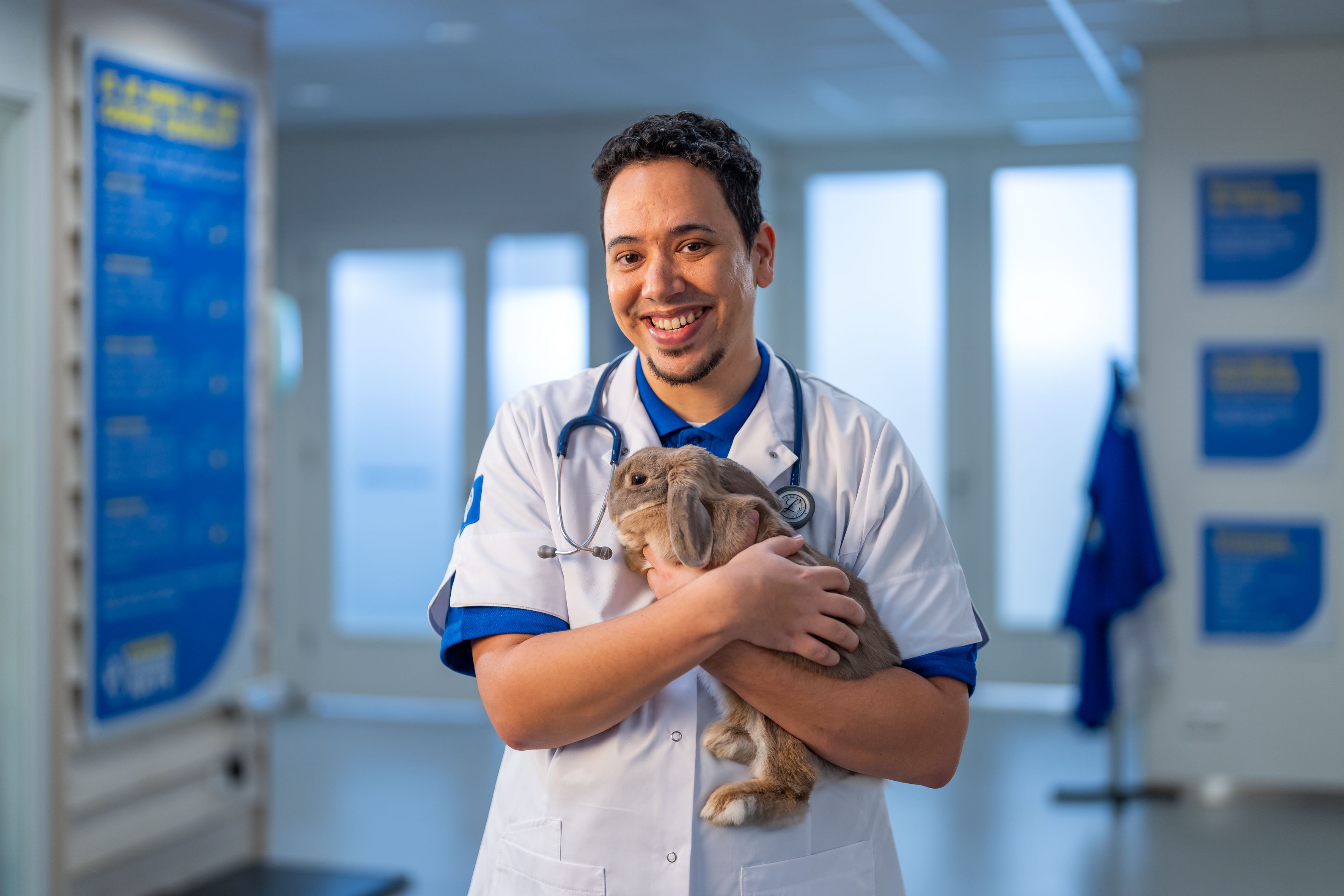 Dierenarts met konijn in de handen