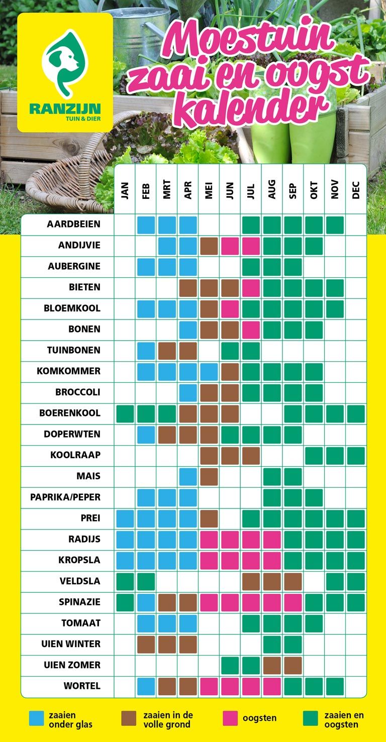 Zaai- en oogstkalender moestuin Ranzijn