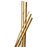 Bamboestok 270cm 3 stuks