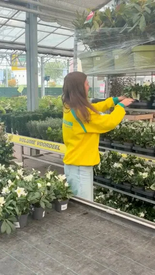 Ranzijn Instagram post