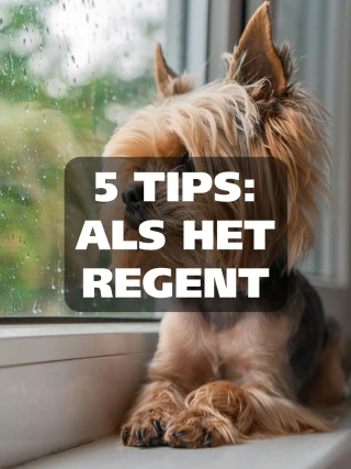 Ranzijn Instagram post