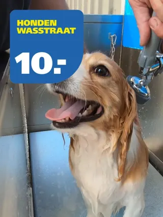 Ranzijn Instagram post