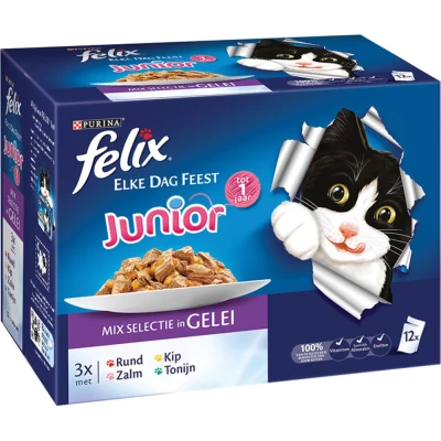 Felix Pouch Elke Dag Feest Kitten 12x100 gram