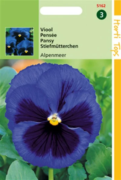 Viola Alpenmeer