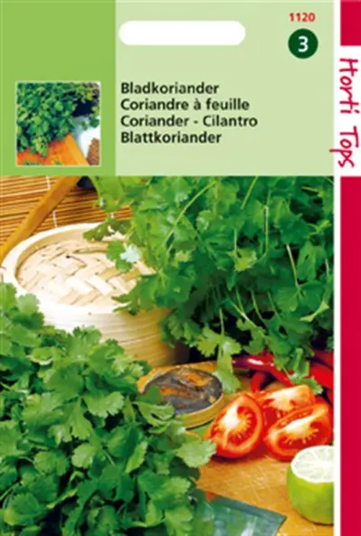 Koriander