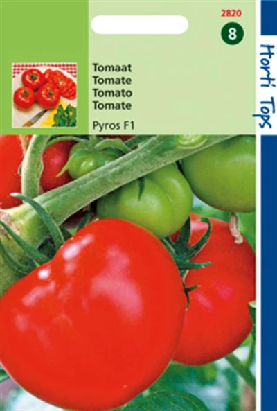 Hortitops Tomaten Pyros F1