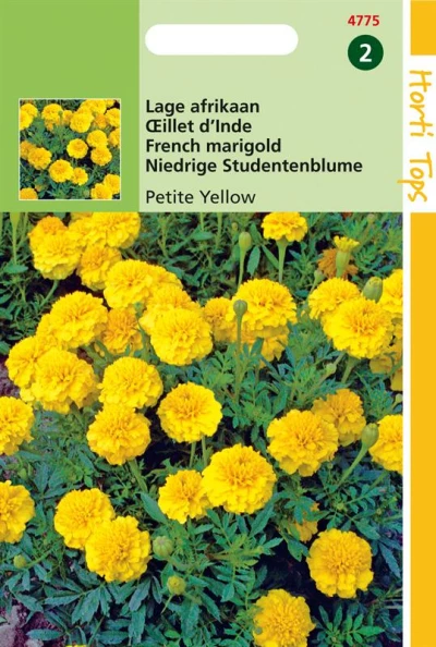 Tagetes Patula Nana Petite Yellow