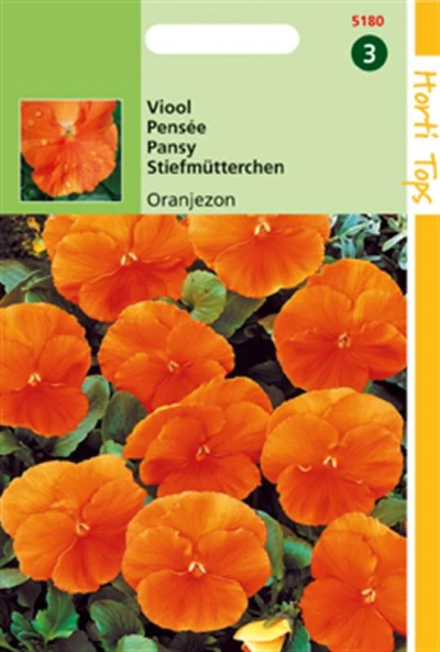 Viola Tricolor Oranjezon