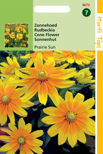 Rudbeckia Hirta Prairie Sun