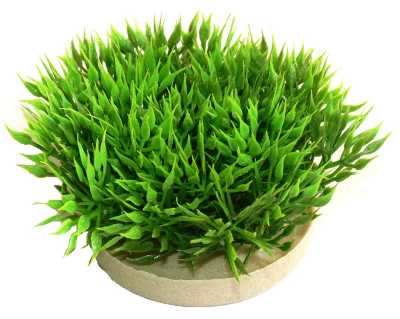 Waterplant Sydeco Green Moss 7 cm