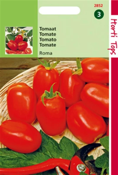 Tomaten Roma