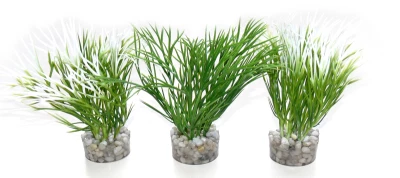 Waterplant Sydeco Nano Green Plant 10 cm