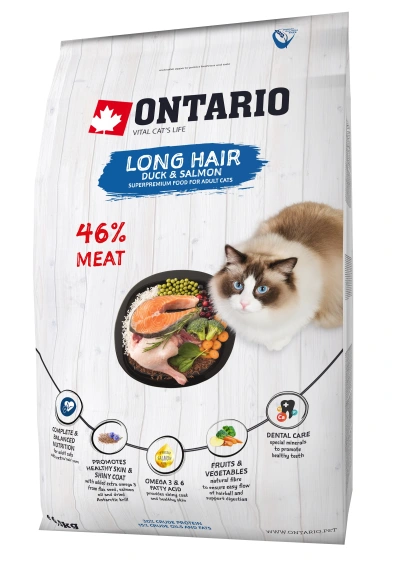 Ontario kat Adult Langhaar