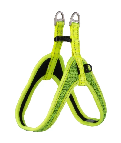 Tuig Hond 16mm/47 Cm Nite Fast Fit Dayglo