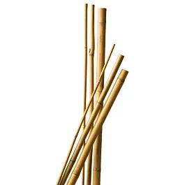Bamboestok 270cm 3 stuks