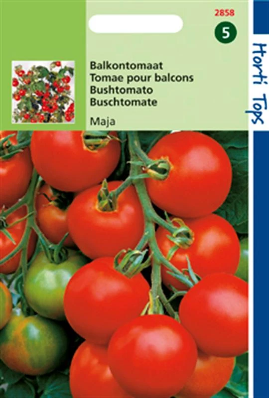 Tomaten Maja - Balkontomaat 