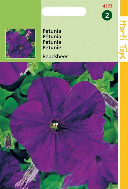 Petunia Hybride Nana Compacta Raadsheer