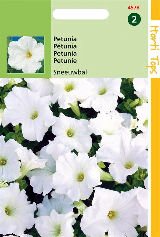 Petunia Hybride Nana Compacta Sneeuwbal