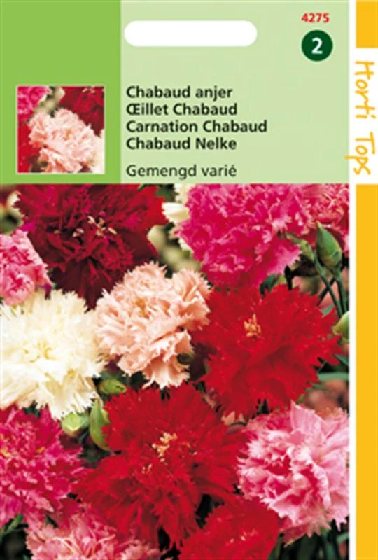 Dianthus Caryophyllus Chabaud Gemengd