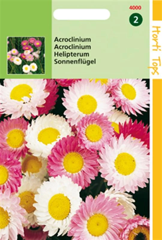 Ht Acroclinium Helipterum Roseum Du