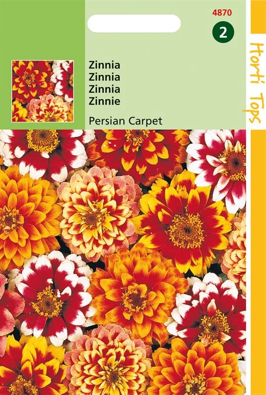 Ht Zinnia Haageana Persian Carpet G