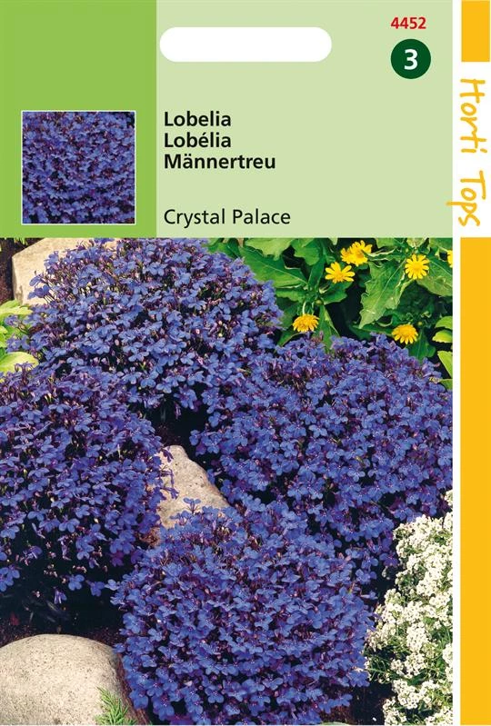 Lobelia Crystal Palace Donkerbladig