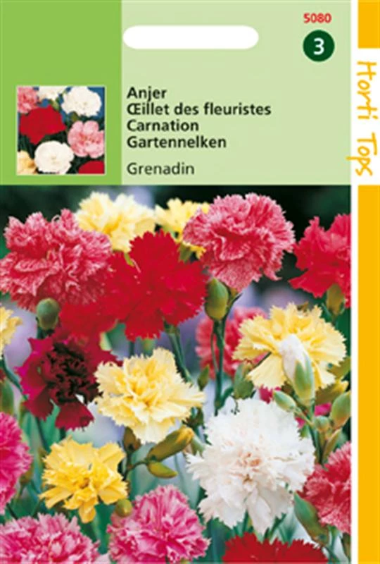 Dianthus Grenadin Gemengd