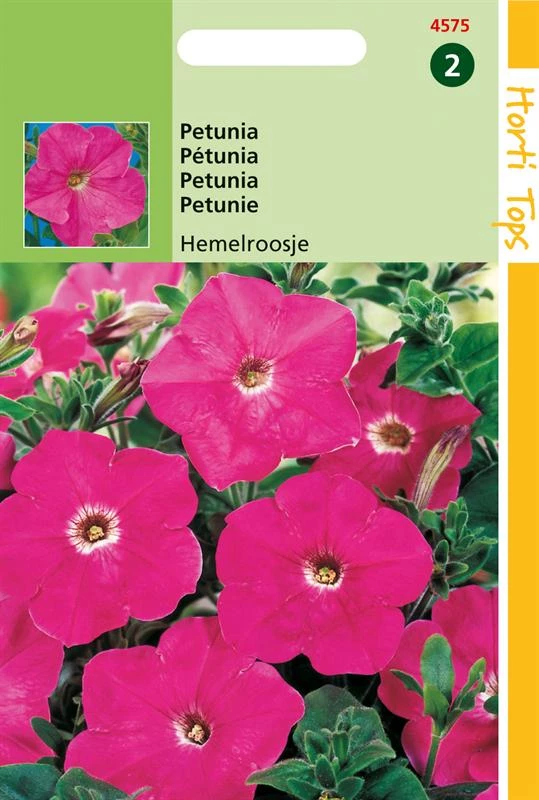 Ht Petunia Hybr.Nana Comp. Hemelroo