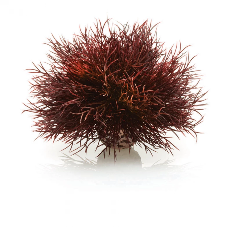 Biorb Sea Lily Crimson