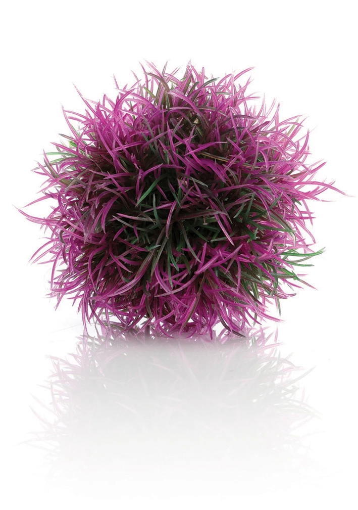 Biorb Color Ball Purple