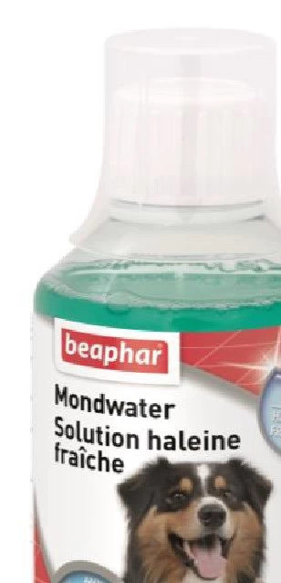 Beaphar Hond/Kat 250 Ml Mondwater