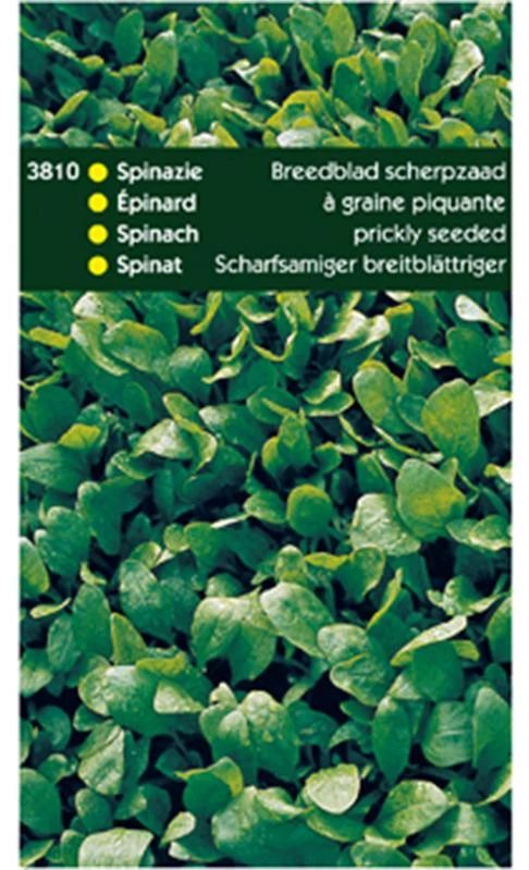 Hortitops Spinazie Breedblad Zomer Scherp Zaad 250 gr