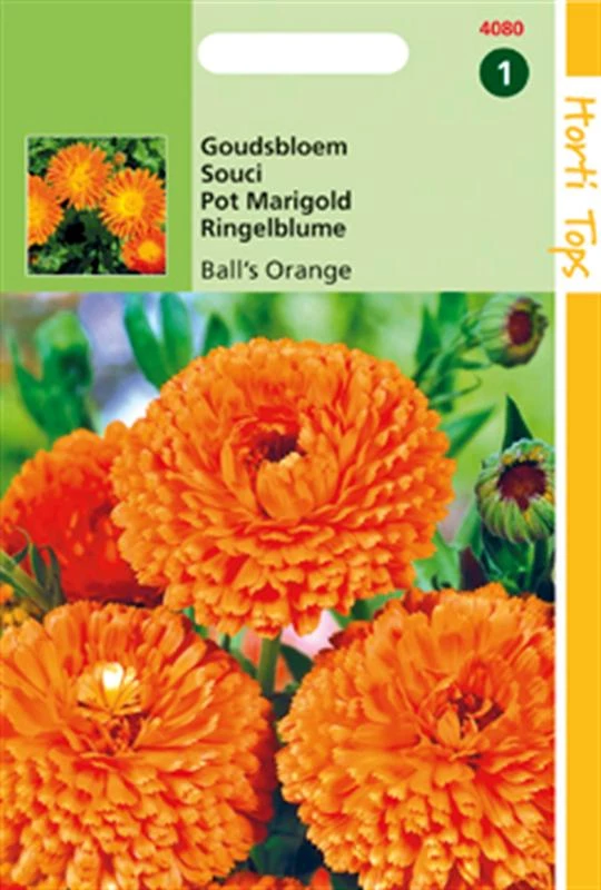 Hortitops Calendula officinalis Dubbelbl. Ball's Oranje
