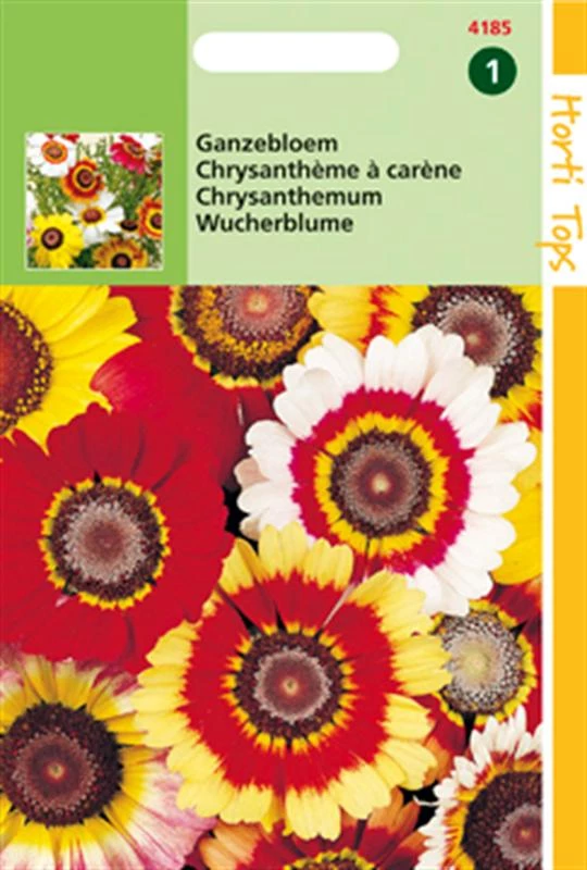 Hortitops Chrysanthemum Carinatum Gemengd