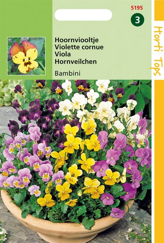 Viola Bambini Gemengd