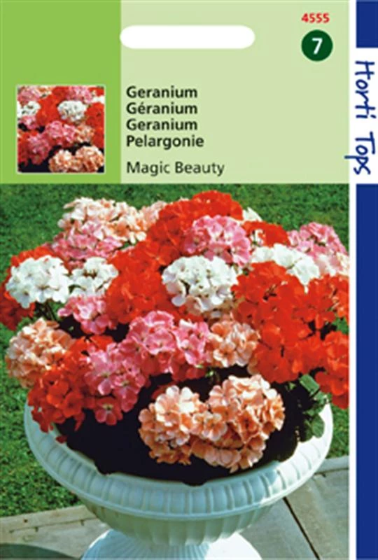 Pelargonium Magic Beauty