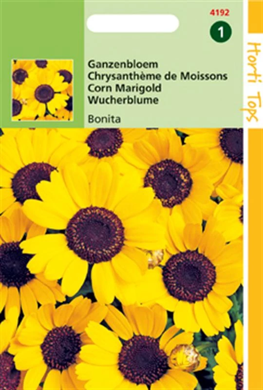 Hortitops Chrysanthemum Segetum Eldorado Geel