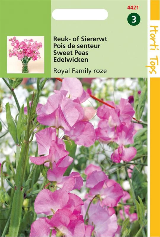 Lathyrus Royal Family Rose
