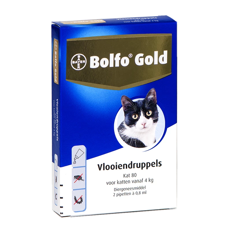 Bolfo Gold Kat 80 2 pipetten