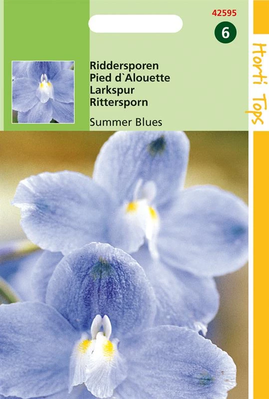 Hortitops Delphinium Grandiflorum 'Summer Blues'