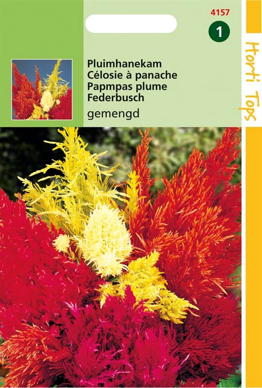 Hortitops Celosia Argentea Plumosa Gemengd