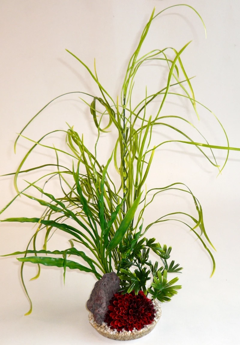 Waterplant Sydeco Lily Grass Rock 40 cm
