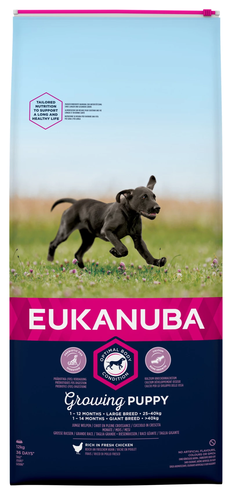 Eukanuba Puppy & Junior Large Kip
