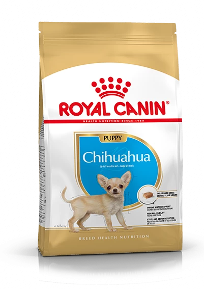 Rcca Chihuahua Puppy 1,5 Kg