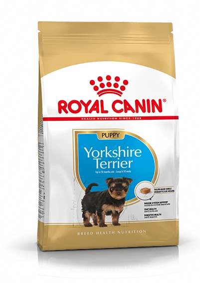 Rcca Yorkshire Terrier Puppy 1.5kg